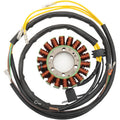 Stator by Rick's Motorsport Electric