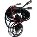 Rocker Switch Wiring Harness 2 Outputs by Brite-Lites