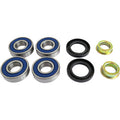 Rear Independent Suspension Repair Kit by Epi