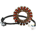 Suzuki Stator by Rick's Motorsport Electric