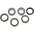 Rincon Wheel Bearing Kit Rear by Pivot Works