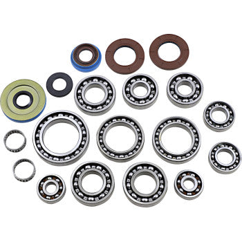 Set of various-sized metal ball bearings and rubber seals in black, blue, and brown for differential bearing seal repair kit.
