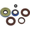 Polaris Oil Seal Kit by Moose Offroad