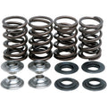 Suzuki Valve Spring Kit 0.440" Lift by Kibblewhite