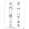 SUSPENSION: REAR SHOCK INTERNALS - 2021 POLARIS RZR 900 TRAIL/TRAIL S