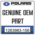 Exhaust Shield, Front Chrome by Indian
