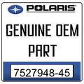 Torx Button Head S M8X1.25X45 10.9 by Polaris