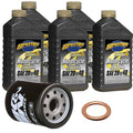 Victory Oil Change Kit, Spectro 20W-40 5 QT w/ K&N Filter by Witchdoctors