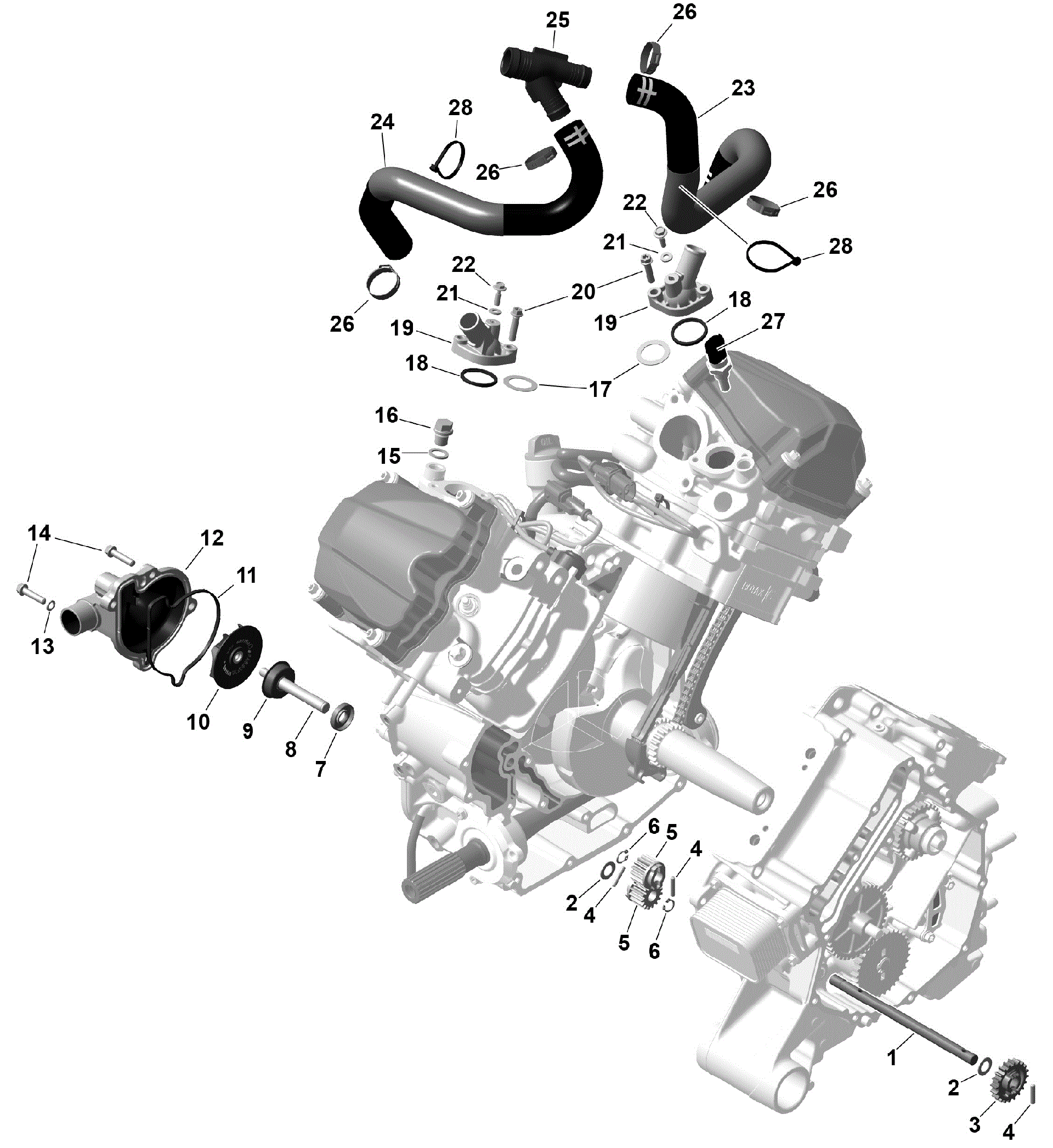 An Image of a Genuine Can-Am Parts Schematic Diagram showing the schematic - ROTAX - ENGINE COOLING