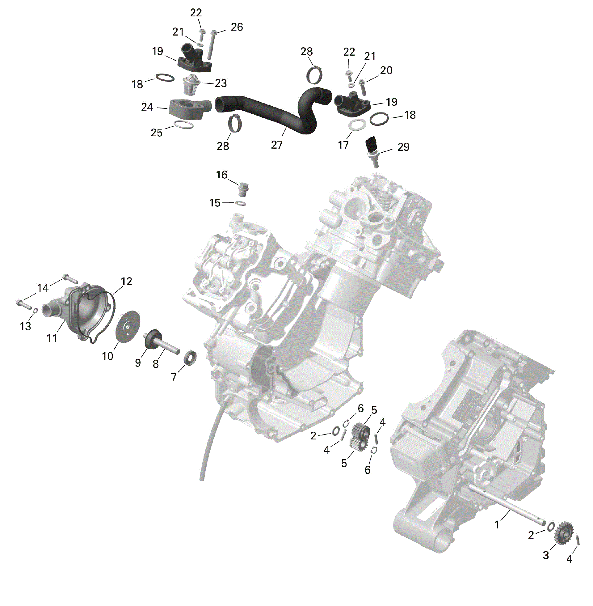 An Image of a Genuine Can-Am Parts Schematic Diagram showing the schematic - ROTAX - ENGINE COOLING