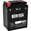 Activated AGM Maintenance-Free Battery for Scout by BS Battery
