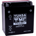 Agm Maintenance-Free Battery By Yuasa