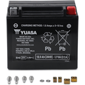Agm Maintenance-Free Battery By Yuasa