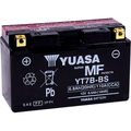 Agm Maintenance-Free Battery By Yuasa