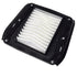 Air Filter Scout - Octane by Polaris 7082702 Air Filter