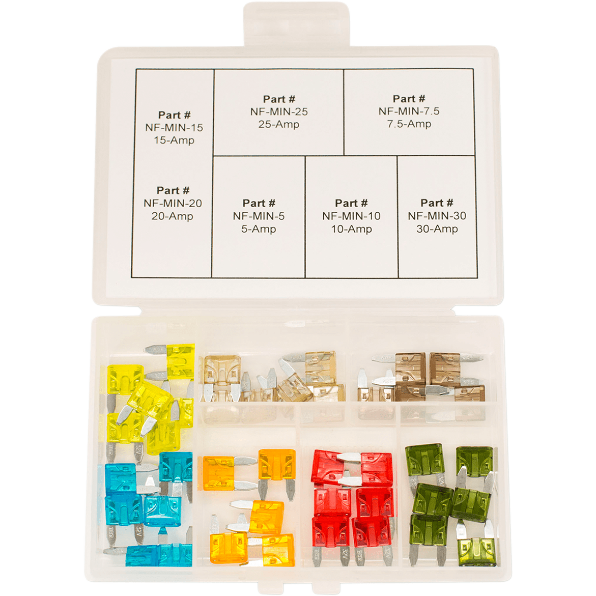 Assorted Fuse Kit By Namz NF-MIN-KIT Fuse Kit