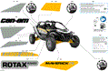 BODY - DECALS - 2024 CAN AM MAVERICK R - CATALYST GRAY - 77" WIDTH