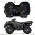 BODY: DECALS STANDARD - 2025 POLARIS SPORTSMAN 570 UTILITY