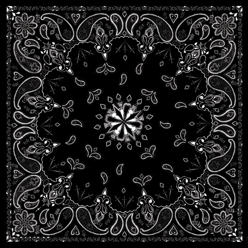 Western Powersports Bandana Black Paisley Bandanna by Zan B001