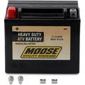 Battery Ytx12 by Moose