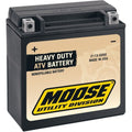 Battery Ytx14 by Moose