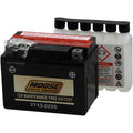 Battery Ytx4L-Bs by Moose