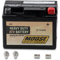 Battery Ytx4L by Moose