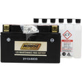 Battery Ytz10S by Moose