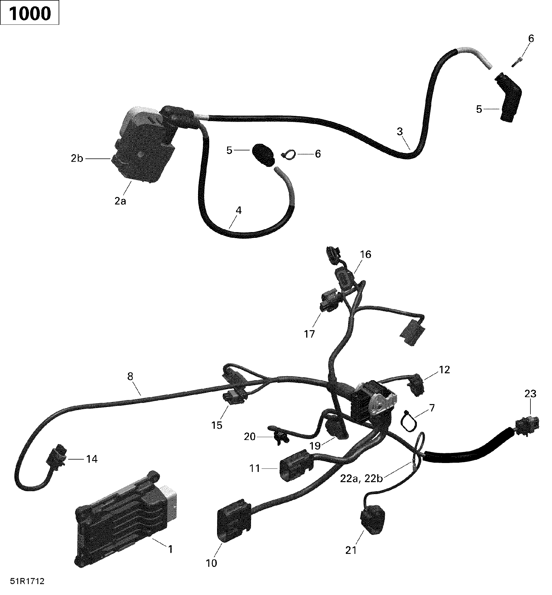 An Image of a Genuine Can-Am Parts Schematic Diagram showing the schematic - ENGINE HARNESS AND ELECTRONIC MODULE - 1000 EFI (PACKAGE T3)