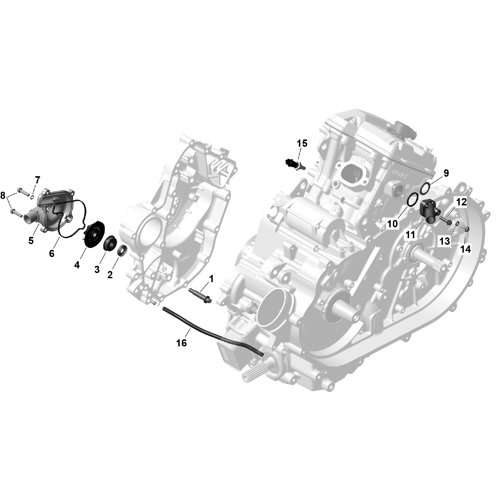 An Image of a Genuine Can-Am Parts Schematic Diagram showing the schematic - ROTAX - ENGINE COOLING