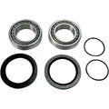 Wheel Bearing Kit Rear by Moose