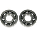 Crank Bearings Xr/Trx by Moose