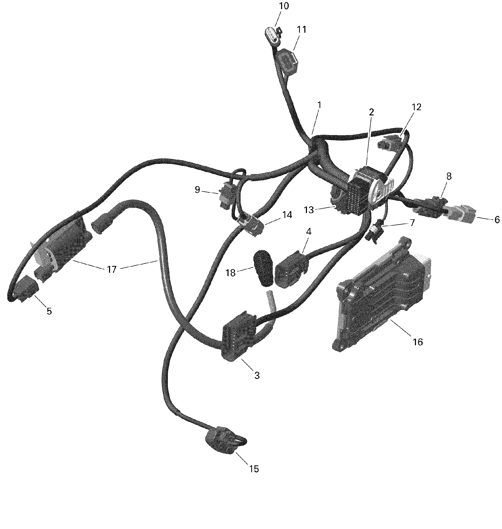 An Image of a Genuine Can-Am Parts Schematic Diagram showing the schematic - ROTAX - ENGINE HARNESS AND ELECTRONIC MODULE - 450 - 