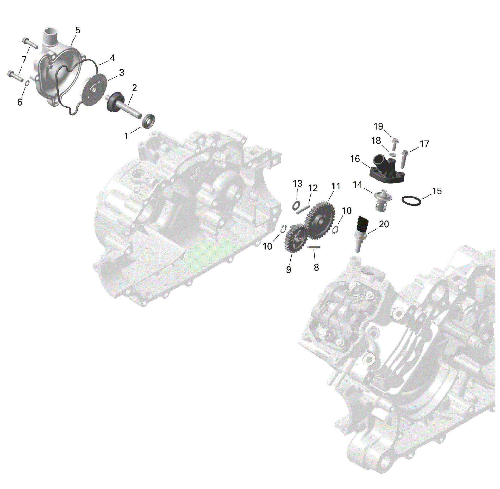 An Image of a Genuine Can-Am Parts Schematic Diagram showing the schematic - ROTAX - ENGINE COOLING