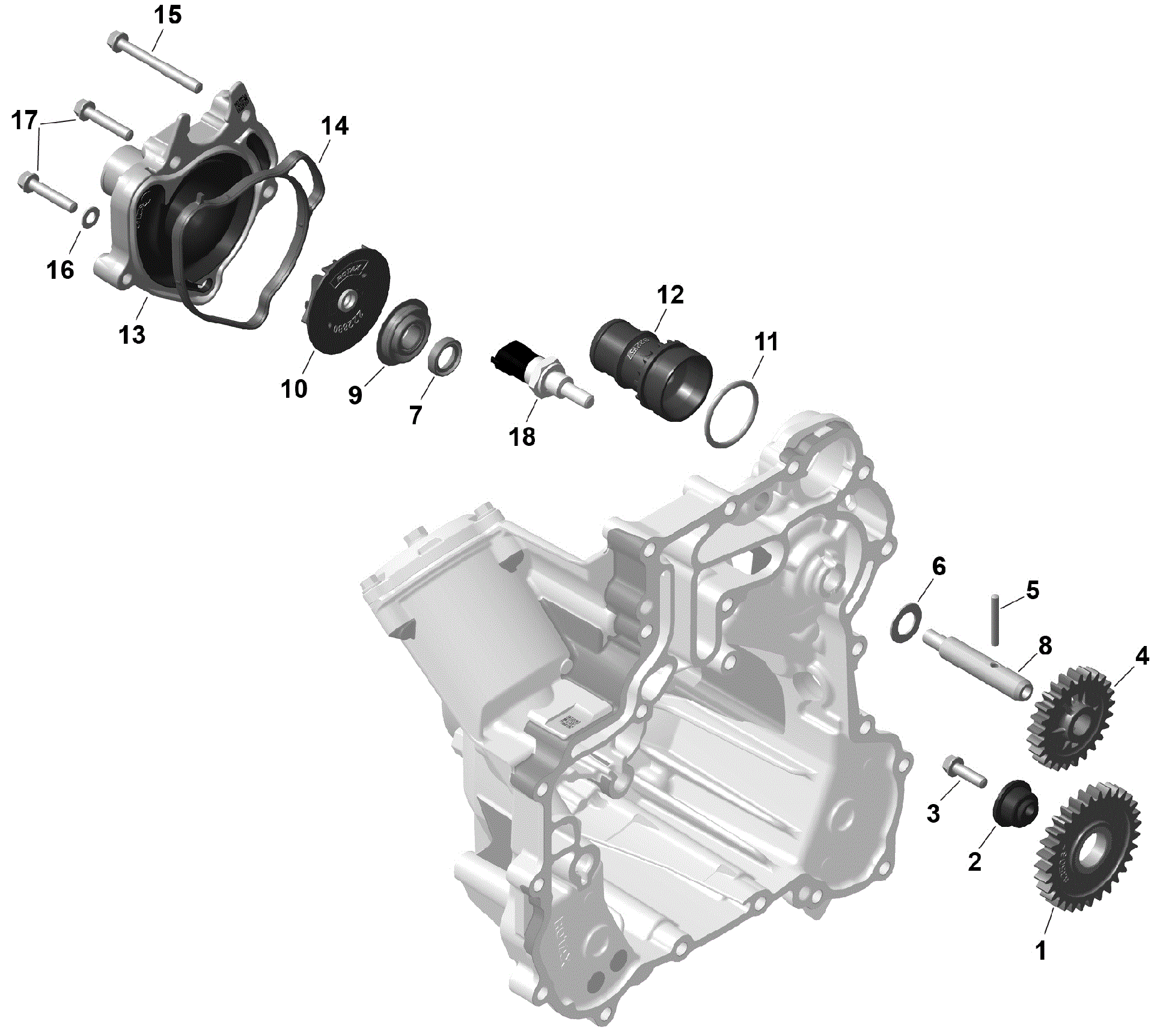 An Image of a Genuine Can-Am Parts Schematic Diagram showing the schematic - ROTAX - ENGINE COOLING