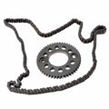Camchain And Sprocket Kit by Polaris 2206002 OEM Hardware