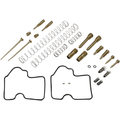 Carburetor Repair Kit By Shindy