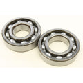 Crankshaft Bearing & Seal Kit by All Balls