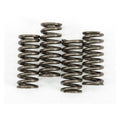 Clutch Springs by EBC