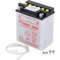Conventional Battery 12 V By Yuasa