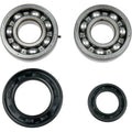 Crank Bearing/Seals Yfz by Moose