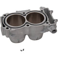 Cylinder Std Polaris by Moose