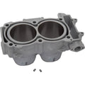 Cylinder Std Polaris by Moose