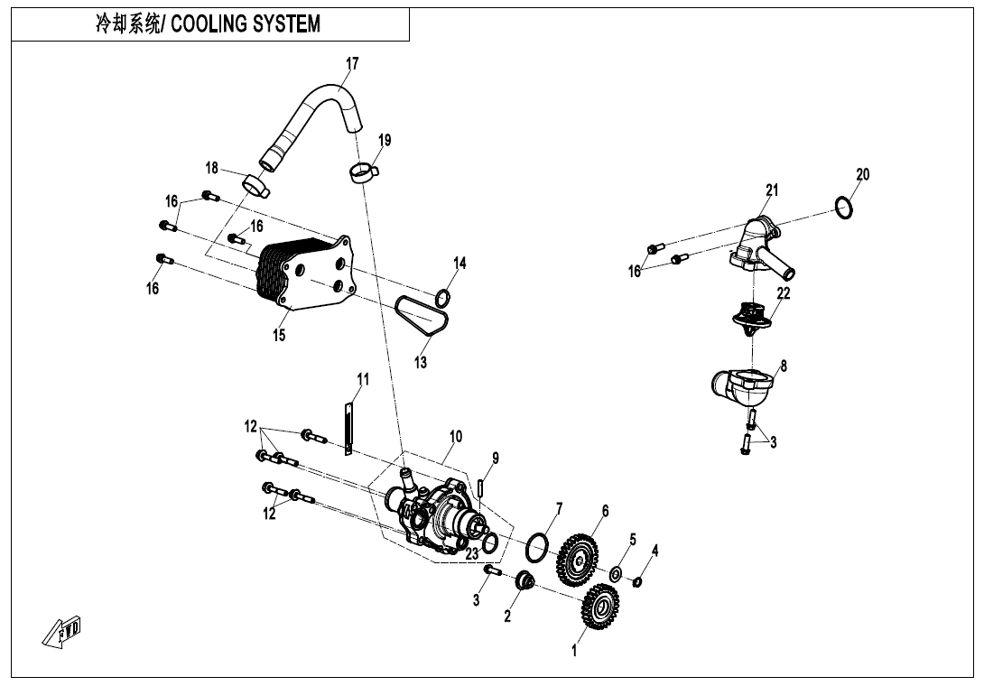 Exploded diagram of the Water Pump Assembly by CF Moto for an ATV, with labeled parts (hoses, gears, bolts, water pump, radiator cap) and bilingual Chinese-English text at the top. Sourced from Witchdoctors.com.