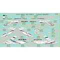 DECAL KITS (USA - 2019 CFMOTO ZFORCE 800 EX