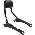 Detachable Backrest Kit by Cobra