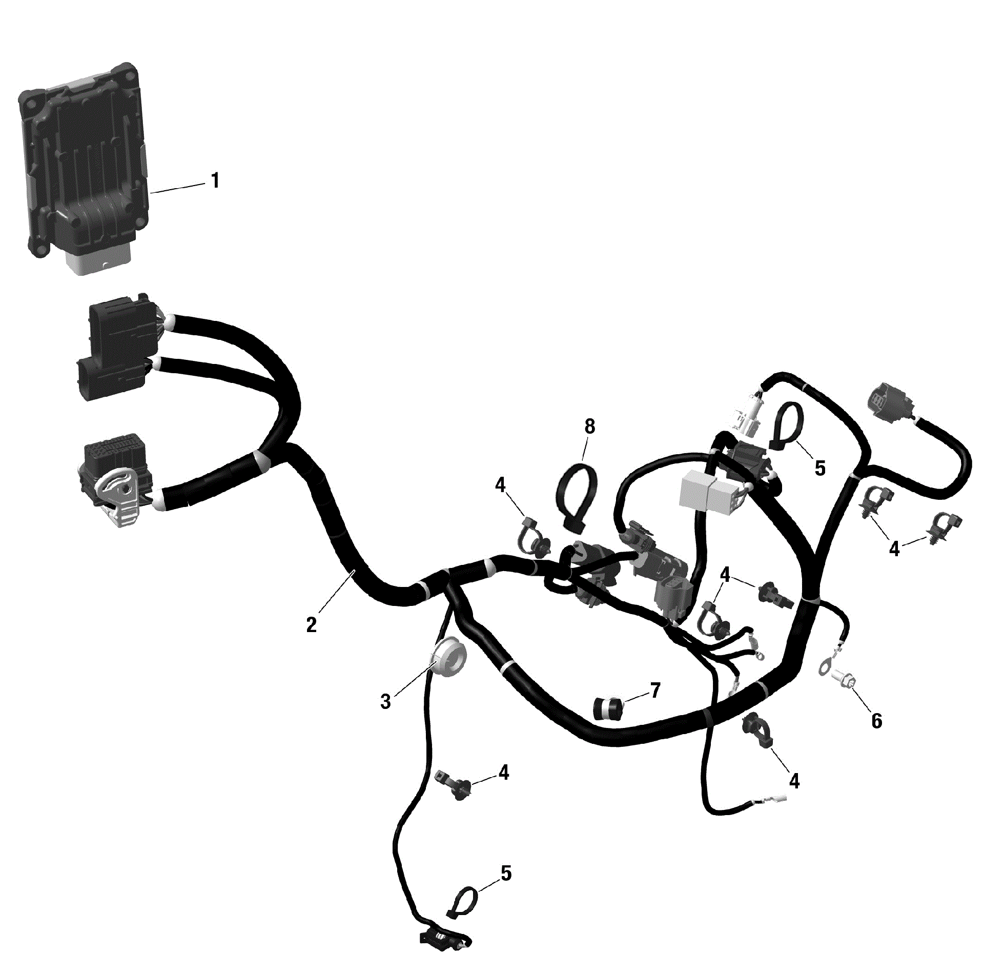 An Image of a Genuine Can-Am Parts Schematic Diagram showing the schematic - ROTAX - ENGINE HARNESS AND ELECTRONIC MODULE