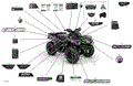 BODY - DECALS - XT - 2021 CAN AM OUTLANDER 570 EFI / DPS / XT / MOSSY OAK EDITION