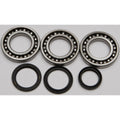 Differential Bearing & Seal Kit by All Balls