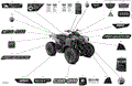 BODY - DECALS - 2022 CAN AM RENEGADE 850 EFI